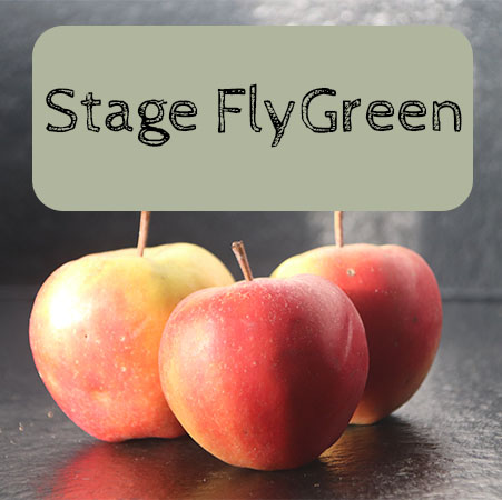 stage flygreen2